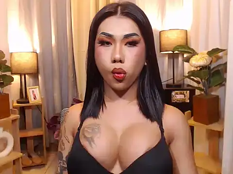 TRANSPORNIDOL online show from February 2026 03:54:02 PM