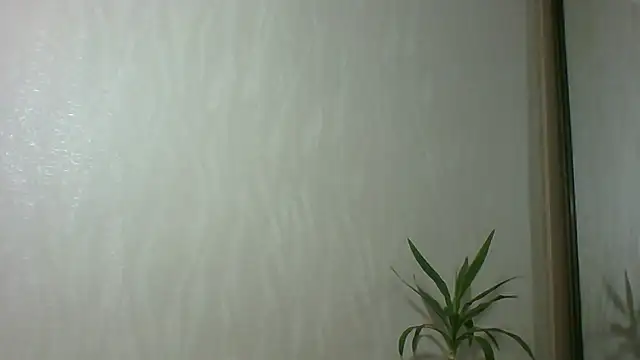 Snapshot of Marellaa chatting on December 2025 11:53:01 AM Marellaa online show from December 2025 11:53:01 AM