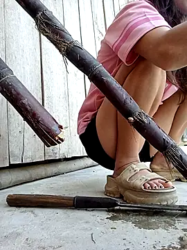 daisy will online show from February 2026 08:02:02 AM