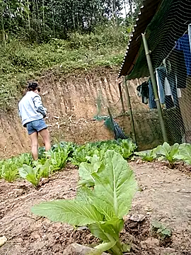 daisy will online show from January 2026 03:21:02 AM