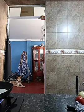 Snapshot of asumi_18 chatting on November 2025 03:00:02 PM asumi 18 online show from November 2025 03:00:02 PM