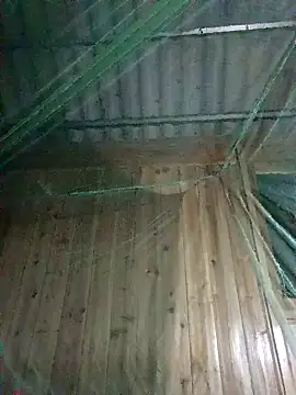 Snapshot of Mptrangp chatting on April 2026 07:58:02 PM Mptrangp online show from April 2026 07:58:02 PM