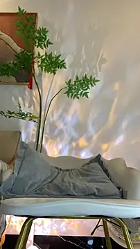 zhizhinaigai online show from February 2026 06:12:02 AM