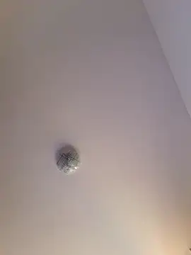 alinaalinutzq online show from November 2025 08:40:02 AM