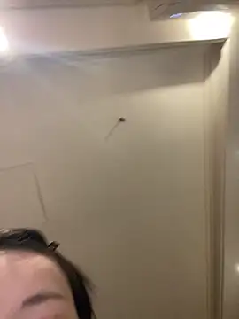 MengMeng0515 online show from March 2026 02:22:01 PM