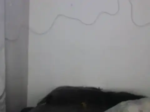 Snapshot of xalejo_max chatting on February 2026 07:34:02 PM xalejo max online show from February 2026 07:34:02 PM