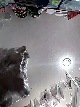 icpetlsjrukgwaykjrw 25 online show from November 2025 08:56:01 PM