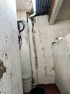 Brayanellatino online show from April 2026 08:10:02 PM