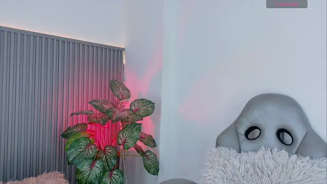 Celeste Presstigge online show from February 2026 11:37:02 PM