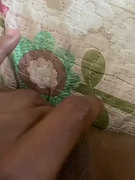 Snapshot of pretalst chatting on November 2025 09:13:01 AM pretalst online show from November 2025 09:13:01 AM