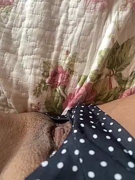 Snapshot of pretalst chatting on February 2026 11:34:02 AM pretalst online show from February 2026 11:34:02 AM