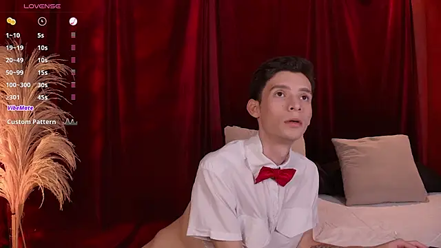 VicenteFerrer online show from February 2026 01:01:02 AM