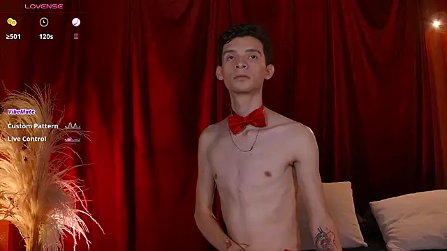 VicenteFerrer online show from February 2026 02:33:01 AM