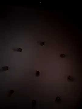 Bols777 online show from October 2025 02:49:01 PM