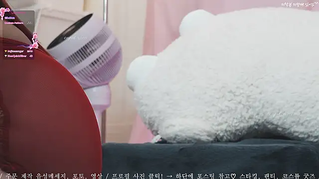 Cupid 33333 online show from September 2025 07:25:01 AM