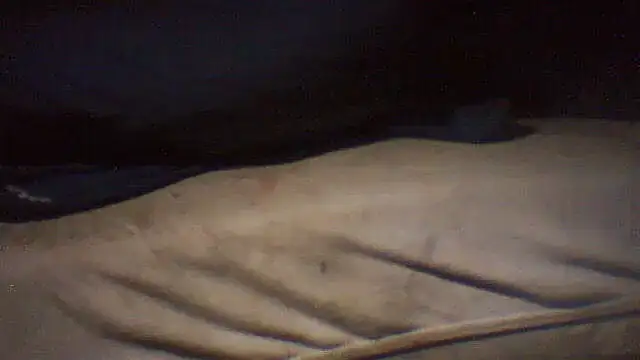 pietje1991 online show from May 2026 05:11:02 PM