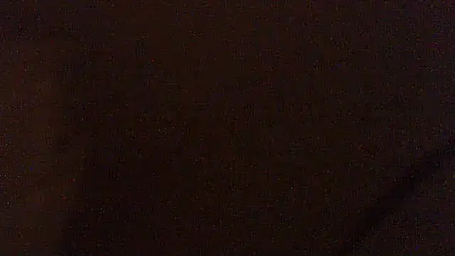 pietje1991 online show from June 2026 12:55:01 AM