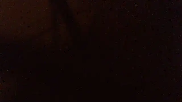 pietje1991 online show from February 2026 08:08:02 AM