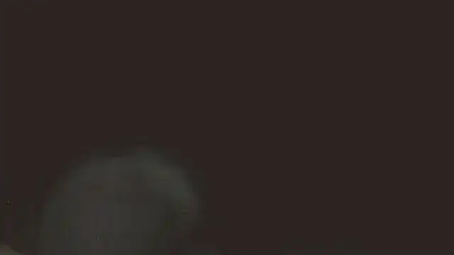 pietje1991 online show from May 2026 11:37:02 PM