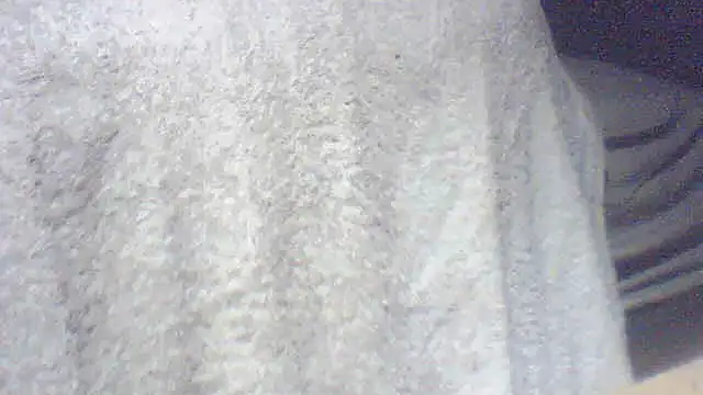 Snapshot of pietje1991 chatting on June 2026 06:29:01 AM pietje1991 online show from June 2026 06:29:01 AM