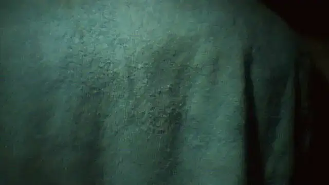 pietje1991 online show from March 2026 02:56:02 AM