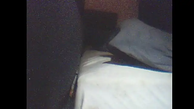 pietje1991 online show from January 2026 01:31:02 AM