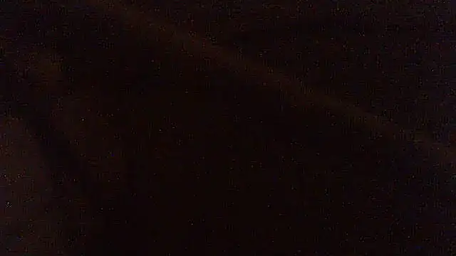 pietje1991 online show from February 2026 03:15:02 AM