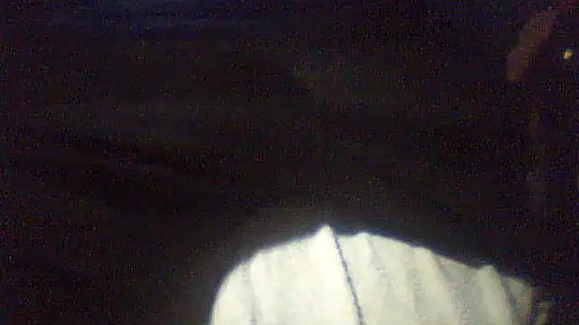 pietje1991 online show from February 2026 01:04:02 AM