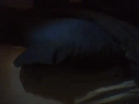 pietje1991 online show from March 2026 04:19:02 PM