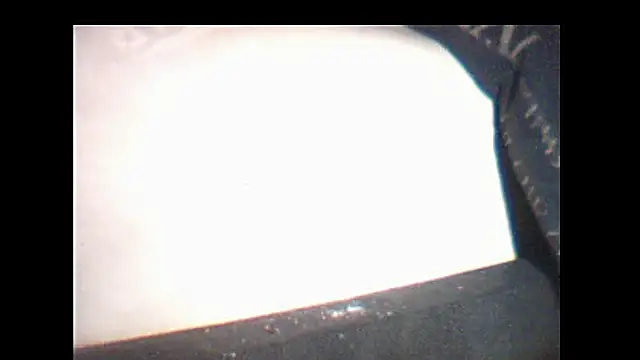 pietje1991 online show from December 2025 07:39:02 PM