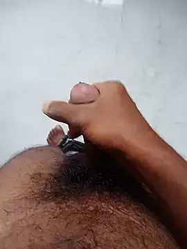 Marathi bull online show from November 2025 08:19:02 AM