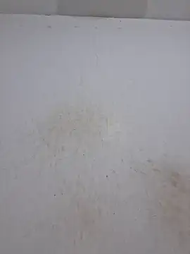 Elianasuarezz online show from March 2026 12:28:02 AM