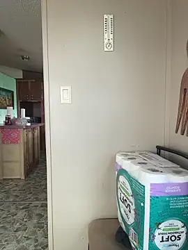 TranSexualJade95 online show from April 2026 09:29:01 PM