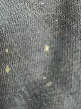 Narckse online show from September 2025 07:31:01 AM