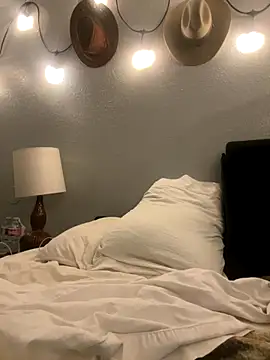 Snapshot of thejohnryancollection chatting on November 2025 06:17:02 AM thejohnryancollection online show from November 2025 06:17:02 AM