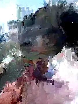 Fernandar2025 online show from May 2026 04:43:02 PM
