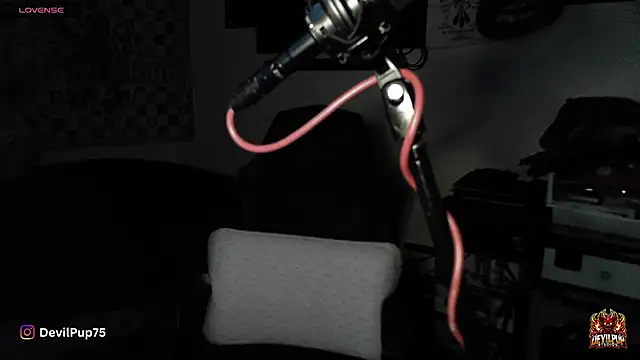 Snapshot of DevilPup75_ chatting on January 2026 02:59:02 AM DevilPup75 online show from January 2026 02:59:02 AM