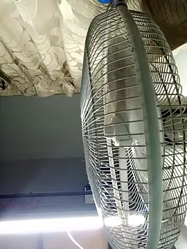 HarryChoudhary21 online show from November 2025 12:42:02 PM