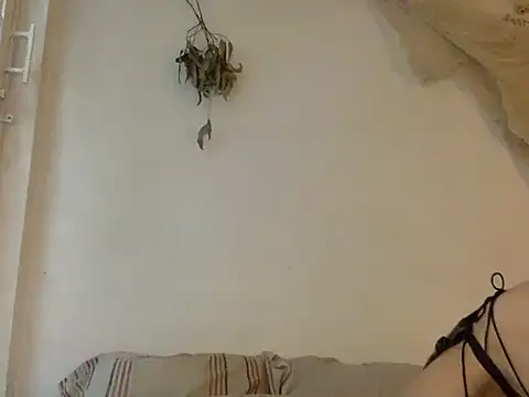 haley diosita online show from June 2026 10:04:01 PM