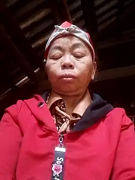 VangLe73 online show from December 2025 04:47:01 AM