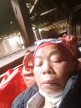 VangLe73 online show from November 2025 02:47:02 AM