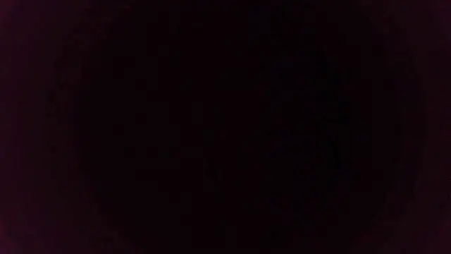 sakuradelreina online show from December 2025 04:07:01 AM