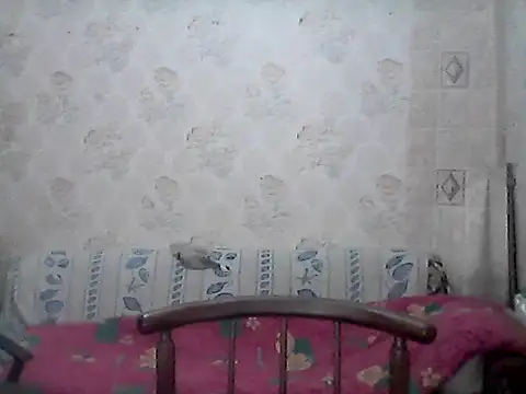 NatalieNorth online show from February 2026 10:20:02 PM