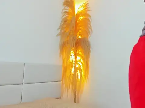 Kieran kian online show from February 2026 12:33:02 AM