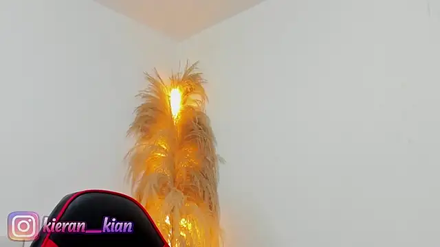 Kieran kian online show from April 2026 03:57:02 PM
