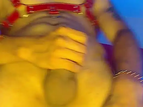 Npga96 online show from March 2026 09:44:02 AM