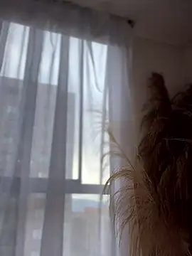 Sofi Leal online show from January 2026 12:11:02 PM