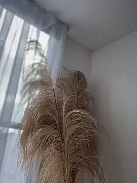 Sofi Leal online show from November 2025 01:00:02 PM