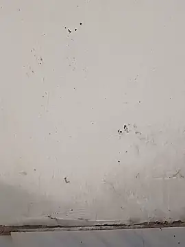 monubigcoock online show from November 2025 09:57:01 AM