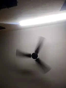 Snapshot of Devi-with-Ram chatting on October 2025 04:36:02 AM Devi-with-Ram online show from October 2025 04:36:02 AM